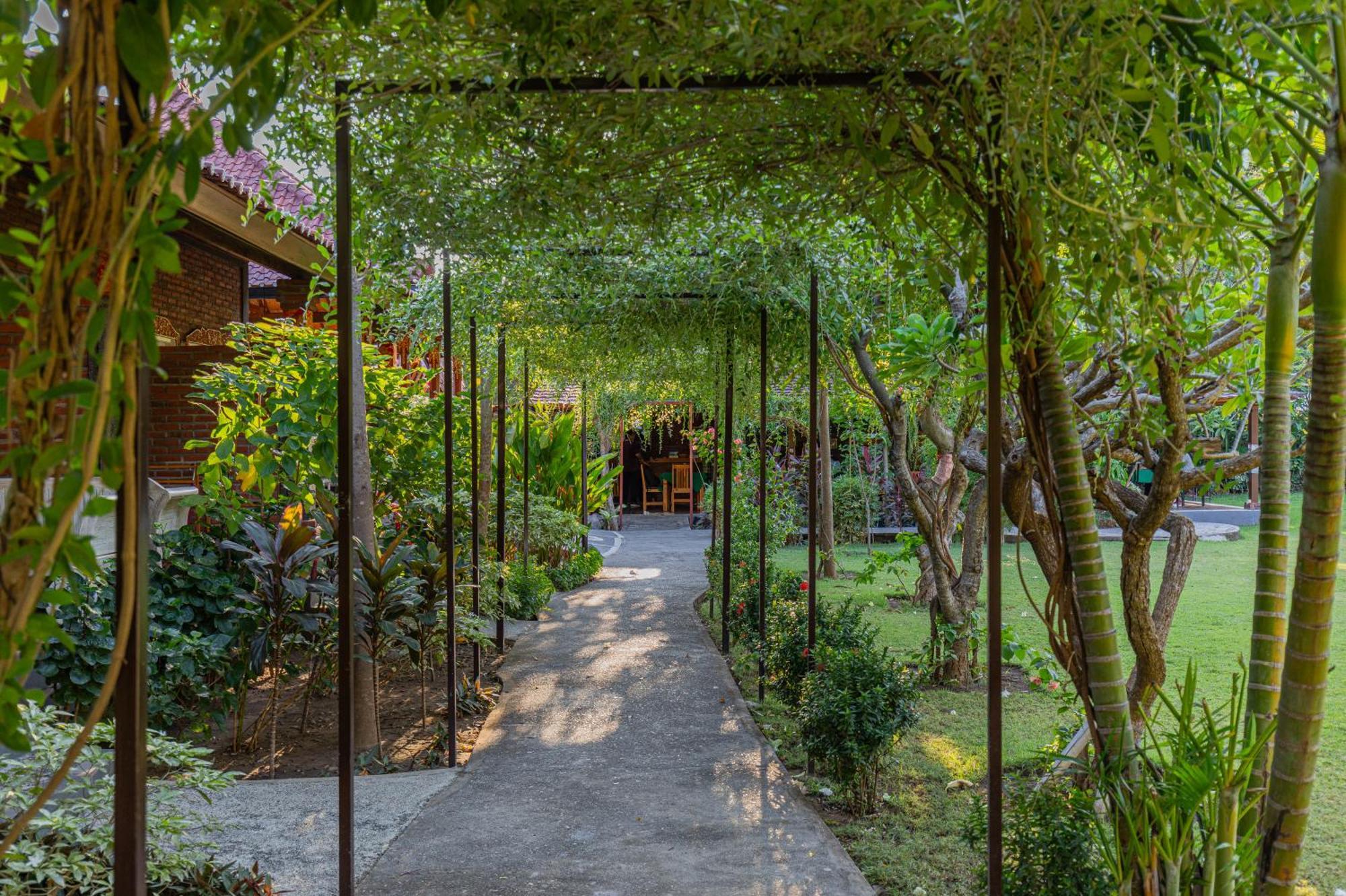 Taman Bidadari Eco Wellness Hotel Pemuteran Kültér fotó